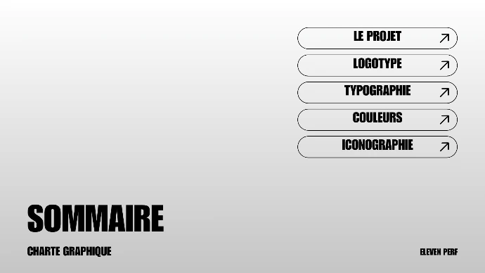 charte graphique sommaire