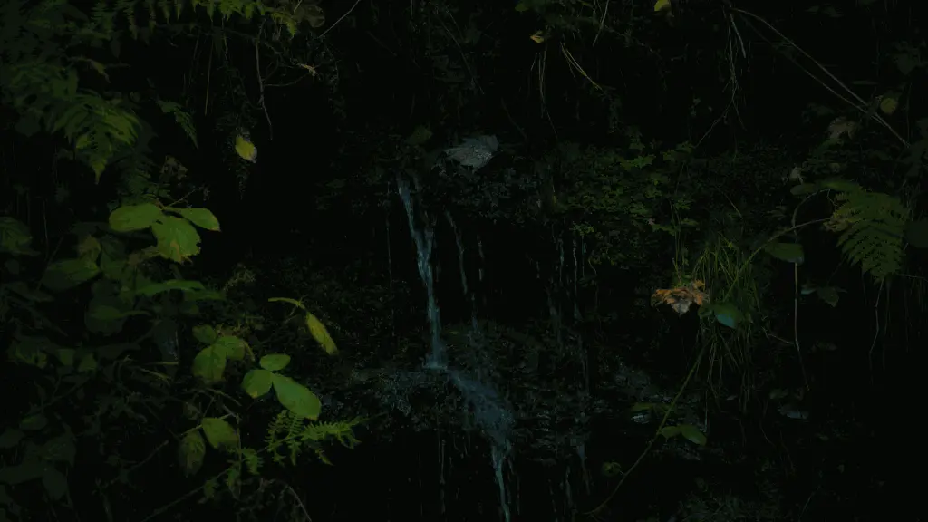 Image 2024-11-24 183730_1.3.1.webp