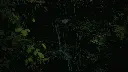 Image 2024-11-24 183730_1.3.1.webp