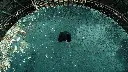 Image 2025-04-23 162530_1.3.1.webp